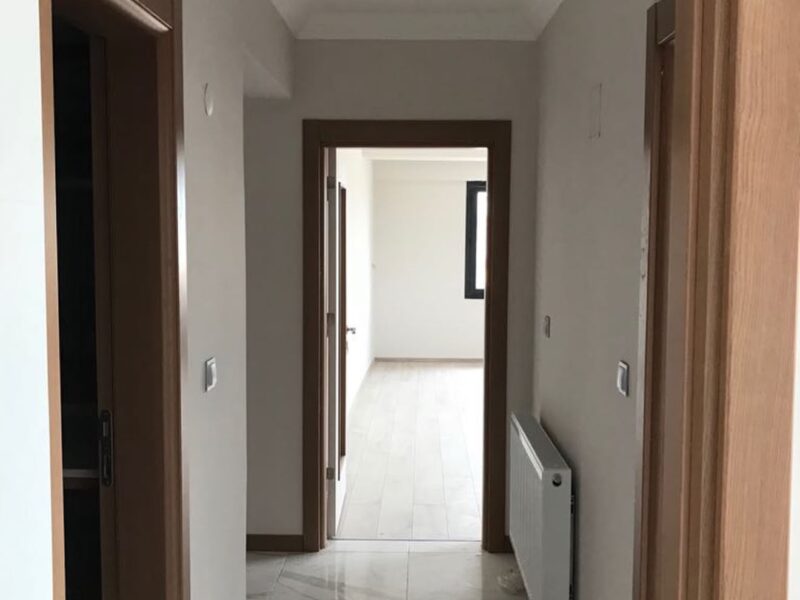 Proje