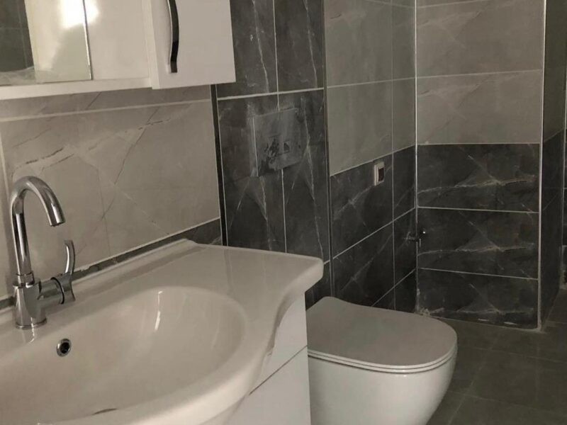 Proje